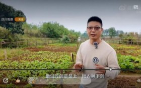乡村振兴带头人杨闯世，一位返乡新农人给朋友们2025年的年终信