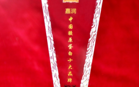 嘉润生物创始人陈政先生：以科技守护生命，以匠心诠释责任